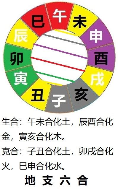 辰午合|十二地支间的六合，三合，半合，暗合，拱合以及相冲的含义